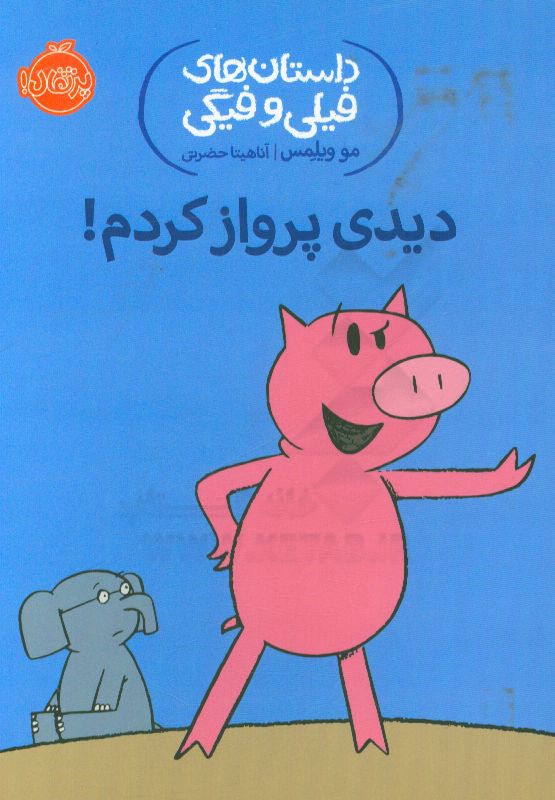 دیدی پرواز کردم!