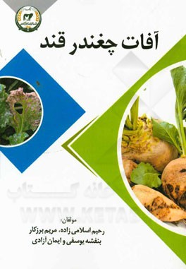 آفات چغندر قند