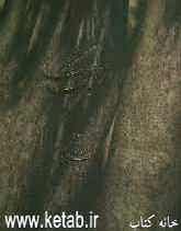 روزنه‌ای به رنگ: مروری بر آثار نقاشی سهراب سپهری