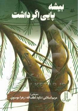 بیشه پایی اگر داشت