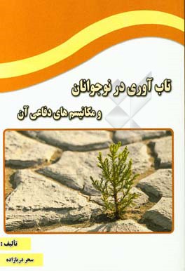 تاب‌آوری در نوجوانان و مکانیسم‌های دفاعی آن