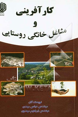 کارآفرینی و مشاغل خانگی روستایی