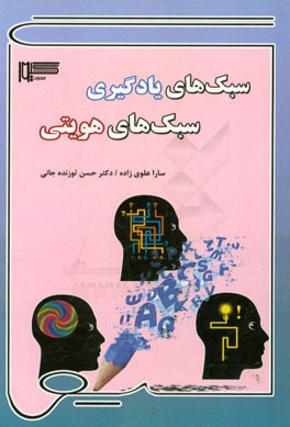 سبک‌های یادگیری، سبک‌های هویتی