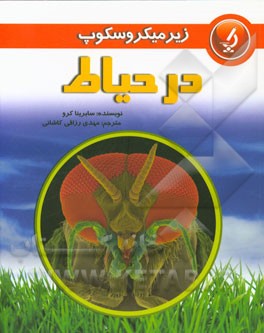 در حیاط