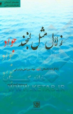 زلال مثل لبخند جواد: زندگی‌نامه داستانی شهید جواد میرزاعلی مازندرانی