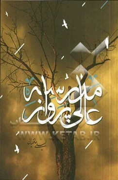 مدرسه‌ی عالی پرواز