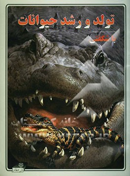 تولد و رشد حیوانات با شگفتی