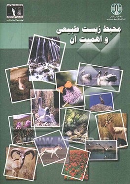 محیط زیست طبیعی و اهمیت آن