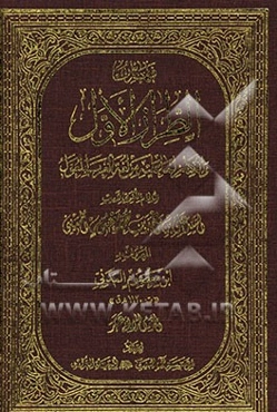 الطراز الاول و الکناز لما علیه من لفه العرب المعول