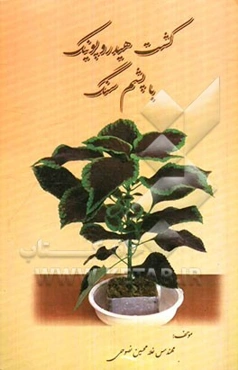 کشت هیدروپونیک با پشم سنگ