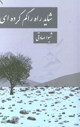 شاید راه را گم کرده‌ای