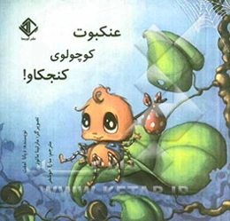 عنکبوت کوچولوی کنجکاو