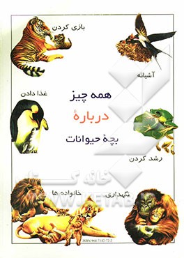 همه چیز درباره بچه حیوانات