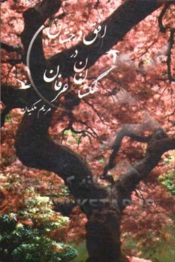 افق درخشان در کهکشان عرفان