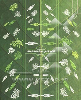 عناصر طراحی بصری معماری منظر