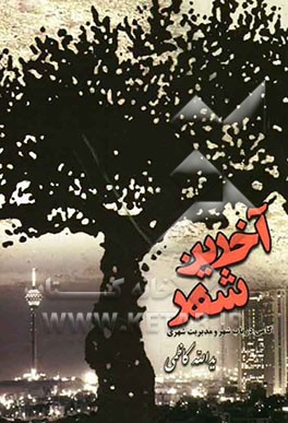 آخرین شهر: گامی در باب شهر و مدیریت شهری