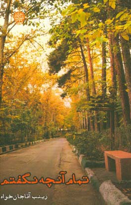 تمام آن‌چه نگفتم