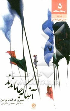 آنها که جا ماندند (سیری در قیام توابین)