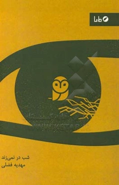 شب در نمی‌زند