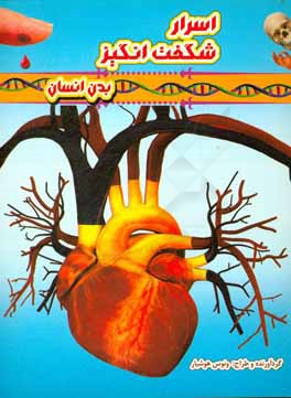 اسرار شگفت‌انگیز: بدن انسان