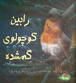 رابین کوچولوی گمشده
