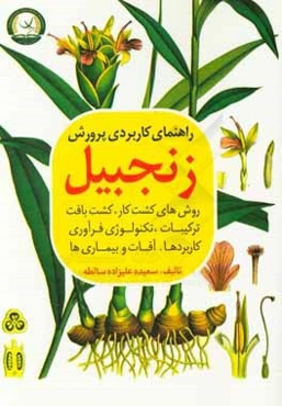 راهنمای کاربردی پرورش زنجبیل (روش‌های کشت و کار، کشت بافت، ترکیبات، تکنولوژی فرآوری، کاربردها، آفات و بیماری‌ها)