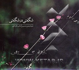 شگفتی در شگفتی