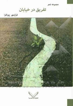 تفریق در خیابان (مجموعه شعر)