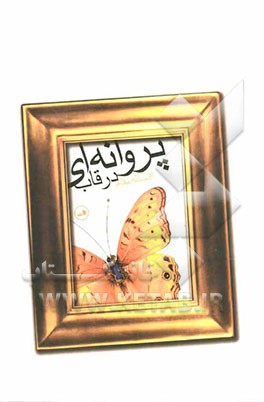 پروانه‌ای در قاب