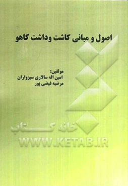 اصول و مبانی کاشت و داشت کاهو