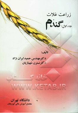 زراعت غلات: گندم