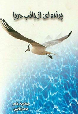 صادقانه‌ها