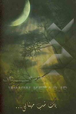 یک شب مهتابی