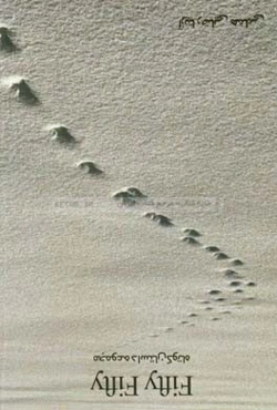 Fifty fifty: مجموعه داستان کوتاه