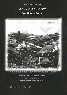 شرح حال و دوره زندگی قوچ و میش البرز مرکزی