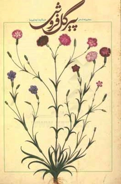 پیر گل‌فروش