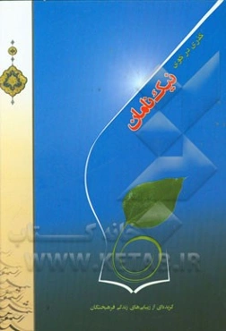 گذری در کوی نیک‌نامان