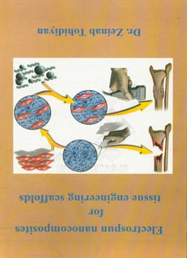 Electrospun nanocomposites for tissue engineering scaffolds
