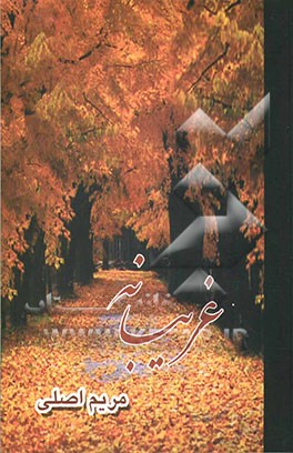 غریبانه (مجموعه شعر