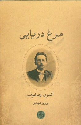 مرغ دریایی