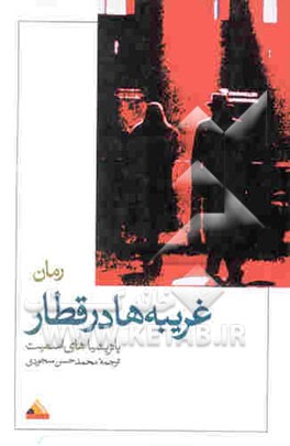 غریبه‌ها در قطار (رمان