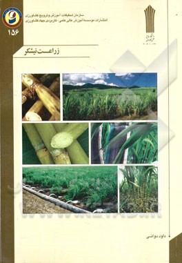 زراعت نیشکر