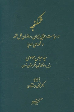 شکنجه: در سیاست جنایی ایران، سازمان ملل متحد و شورای اروپا