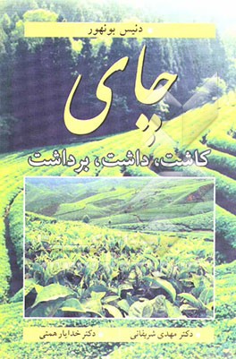 چای: کاشت، داشت، برداشت