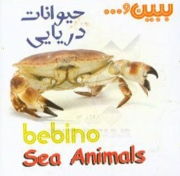 حیوانات دریایی