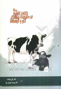 نکات کاربردی در مدیریت پرورش گاو و گوساله