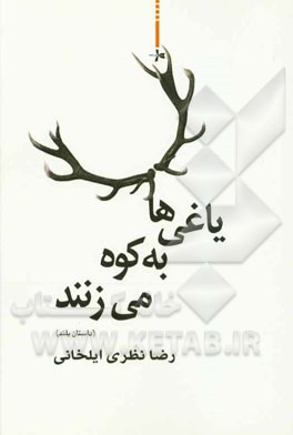 یاغی‌ها به کوه می‌زنند (داستان بلند)