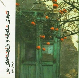 نثرهای شاعرانه و دل‌نوشته‌های من