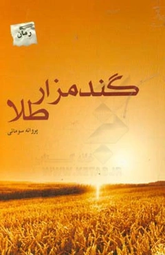 گندمزار طلا