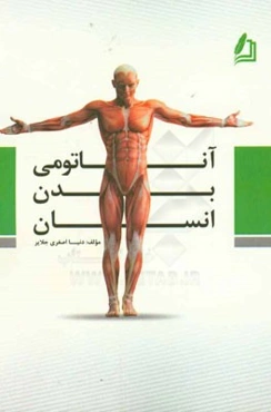 آناتومی بدن انسان